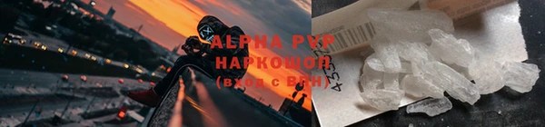 гашик Абаза